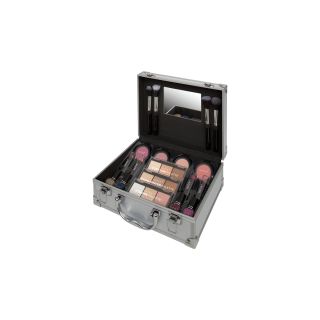 Technic Silver Colour Master Beauty Train Case