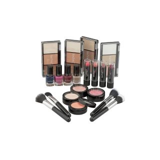Technic Silver Colour Master Beauty Train Case