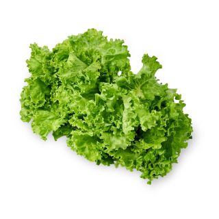 Crunchy Fresh Imperial Batavia Lettuce