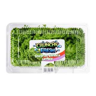 Crunchy Fresh Imperial Batavia Lettuce