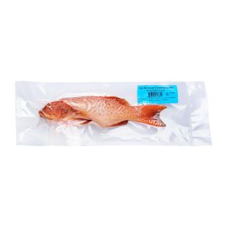 Red Grouper 