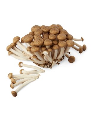 Givvo Brown Shimeji Mushrooms