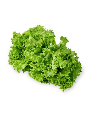 Crunchy Fresh Imperial Batavia Lettuce