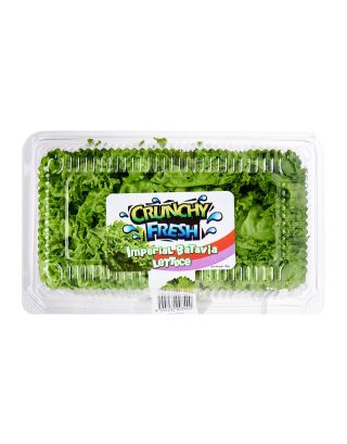 Crunchy Fresh Imperial Batavia Lettuce
