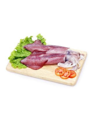 Fresh squid